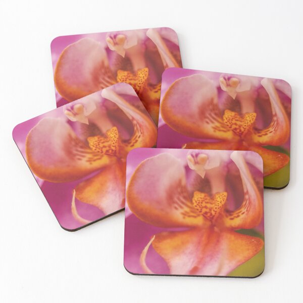 Item preview, Orchid Bird designed and sold by Dany3l.