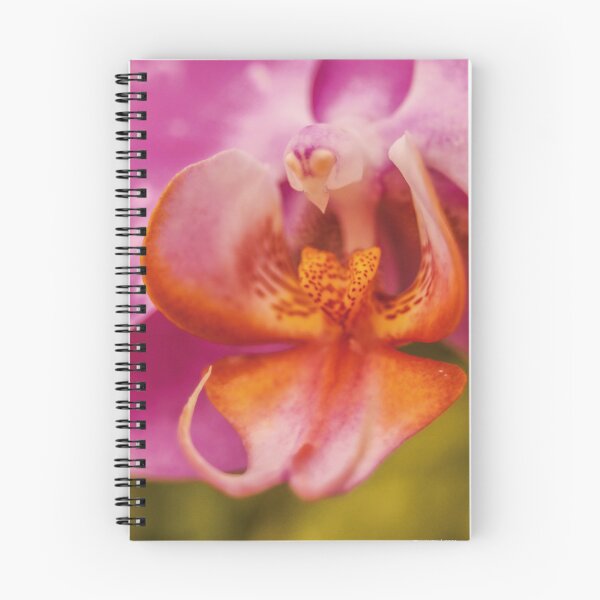 Item preview, Orchid Bird designed and sold by Dany3l.