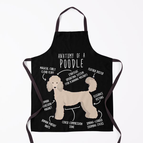 Item preview, Cream Standard Poodle Dog Anatomy designed and sold by Clara Hollins.