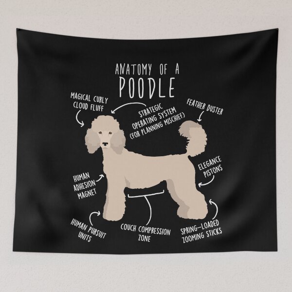 Item preview, Cream Standard Poodle Dog Anatomy designed and sold by Clara Hollins.