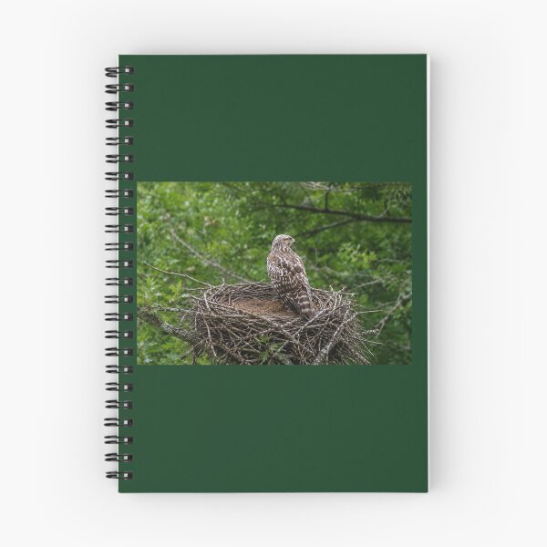 Item preview, Nest Keeper designed and sold by SquaresArt.