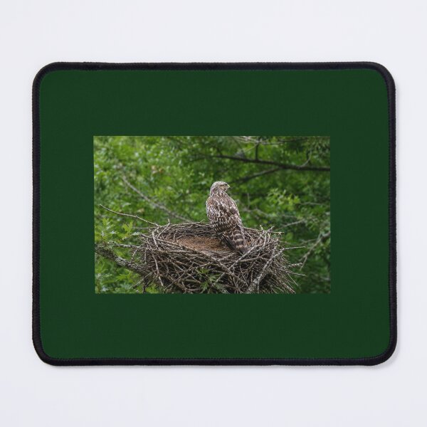 Item preview, Nest Keeper designed and sold by SquaresArt.