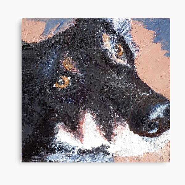 Archie Canvas Print