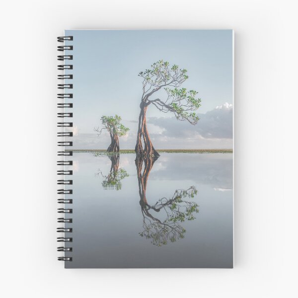 Item preview, Stillness Allagash Evora Brings Peace designed and sold by agvcdrd.