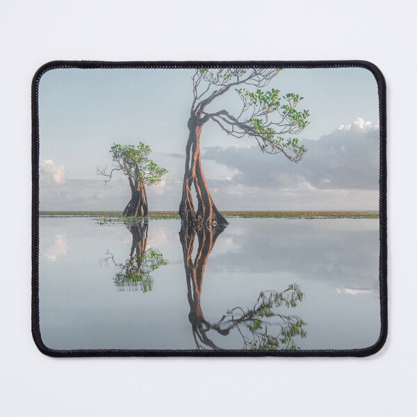 Item preview, Stillness Allagash Evora Brings Peace designed and sold by agvcdrd.