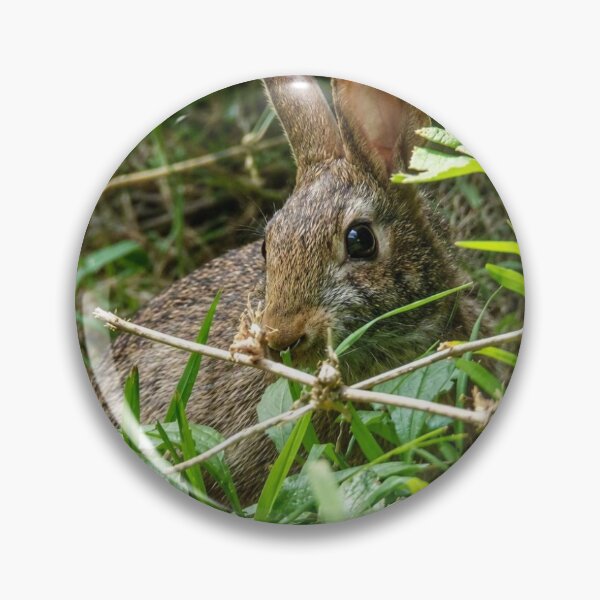 Item preview, Bunny Hideaway designed and sold by SquaresArt.