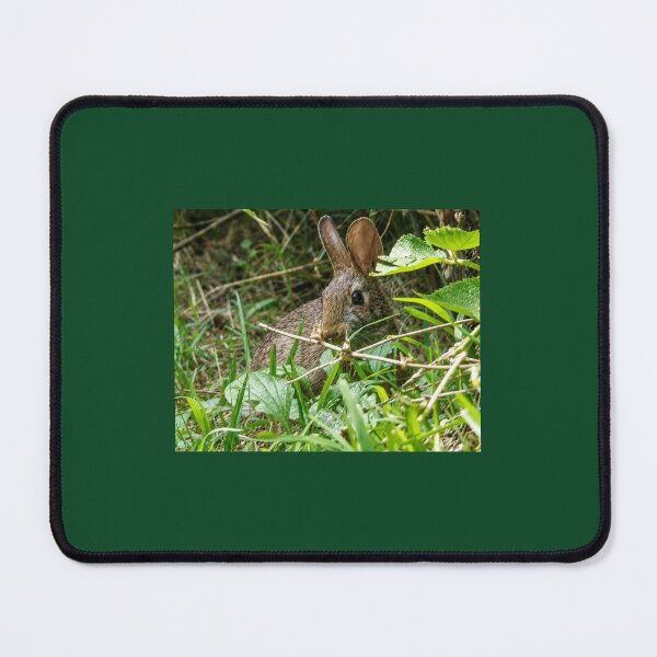 Item preview, Bunny Hideaway designed and sold by SquaresArt.