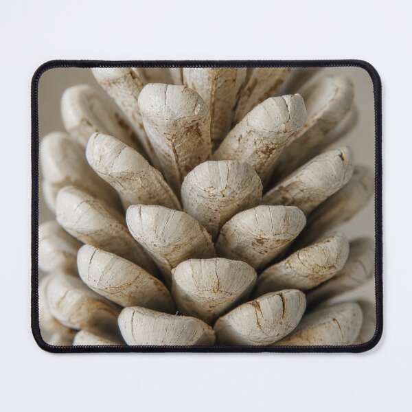 Item preview, White Pine Cone designed and sold by Artnovalty.redbubble.com.