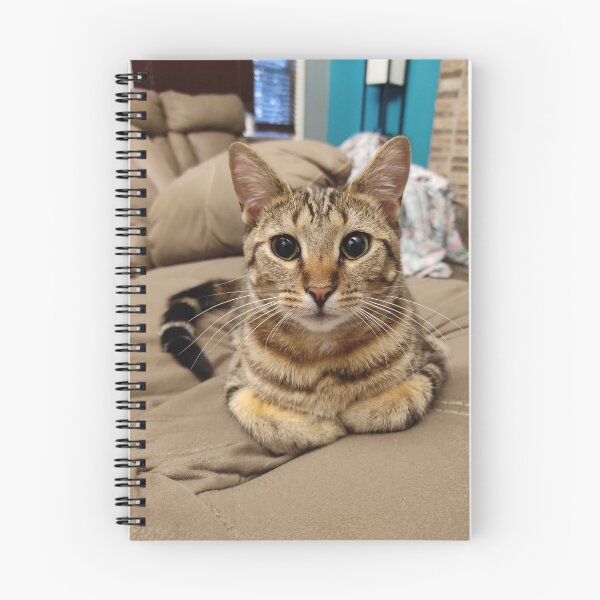 Item preview, Cat Loaf designed and sold by Swtboi's Shop.