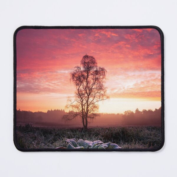 Item preview, Gentle Bürstner Burstner bMoments Matter designed and sold by agvcdrd.