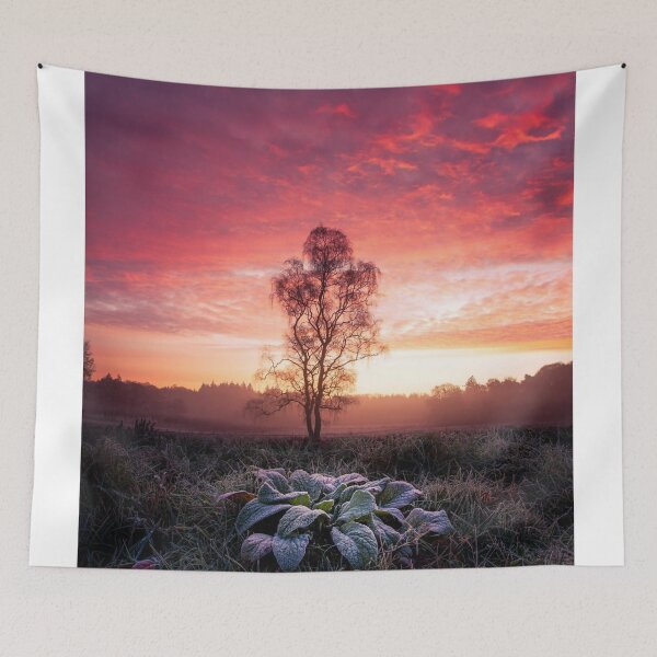 Item preview, Gentle Bürstner Burstner bMoments Matter designed and sold by agvcdrd.