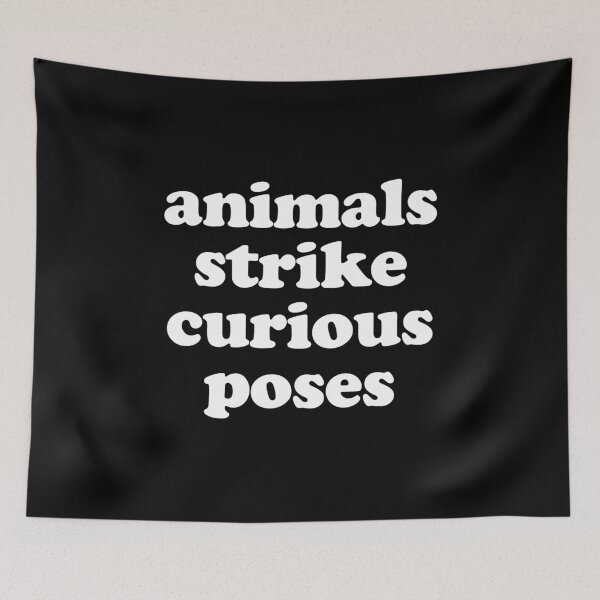 Item preview, Animals Strike Curious Poses - Funny Animal Lover Pun Joke designed and sold by mashaqwenty.
