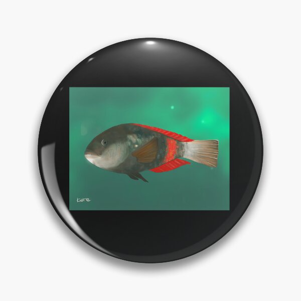 Item preview, Crimson Band Wrasse Fish designed and sold by BASSAM DAWOOD.