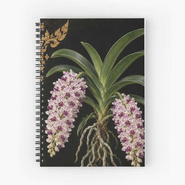 Item preview, Chang Kra Orchid – Vintage Thai Botanical Art designed and sold by BangkokFineArt.
