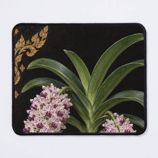 Item preview, Chang Kra Orchid – Vintage Thai Botanical Art designed and sold by BangkokFineArt.