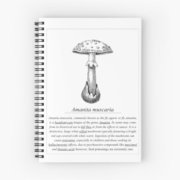 Item preview, Amanita Muscaria | Types of Mushrooms designed and sold by Little-Rooster.