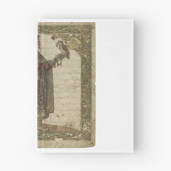 Item preview, Medieval Cat Falconer With a Tiny Hawk designed and sold by PictorialWhimsy.