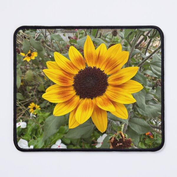 Item preview, Prairie Sunflower designed and sold by Easley-Does-It.