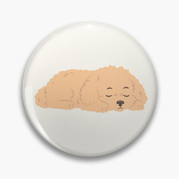 Item preview, Maltipoo puppy designed and sold by Viktoriia.