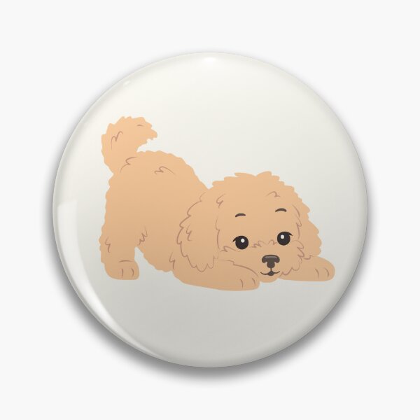Item preview, Maltipoo puppy designed and sold by Viktoriia.