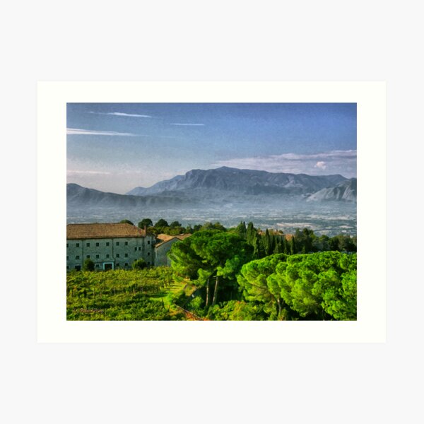 Vineyard in Monte Cassino Art Print