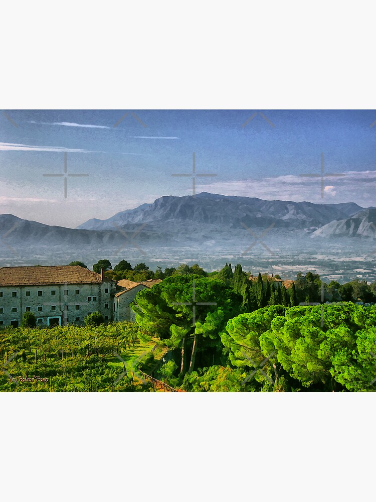 Vineyard in Monte Cassino by photorolandi