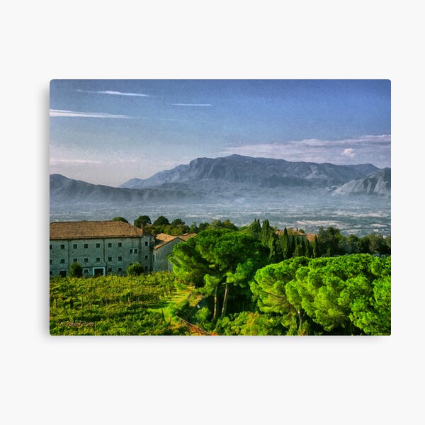Vineyard in Monte Cassino Canvas Print