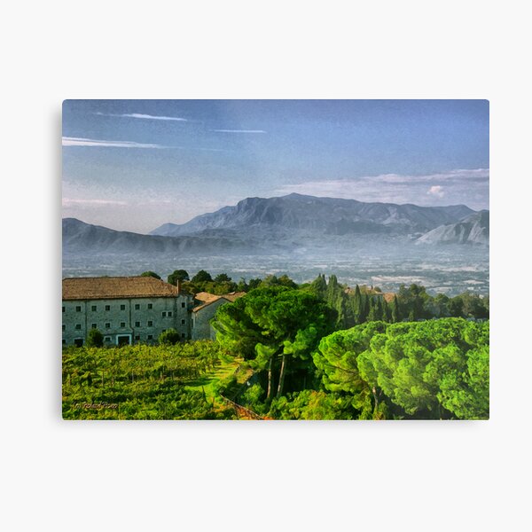 Vineyard in Monte Cassino Metal Print