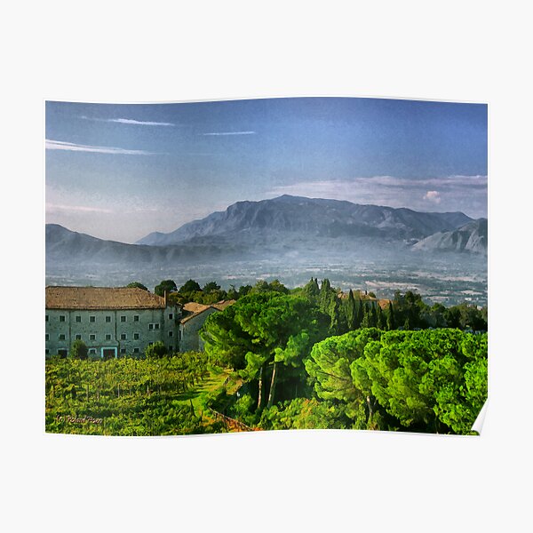 Vineyard in Monte Cassino Poster