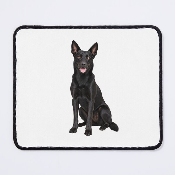 Item preview, Australian Kelpie Black Dog designed and sold by BackgroundND.