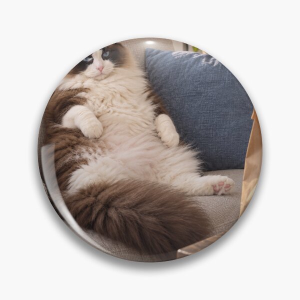 Item preview, cat has a delivery designed and sold by protago-fansy.