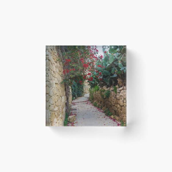 Item preview, Bougainvillea Covered Stone Alley With Red Door And Cactus In Warm Mediterranean Setting designed and sold by Nmallia.
