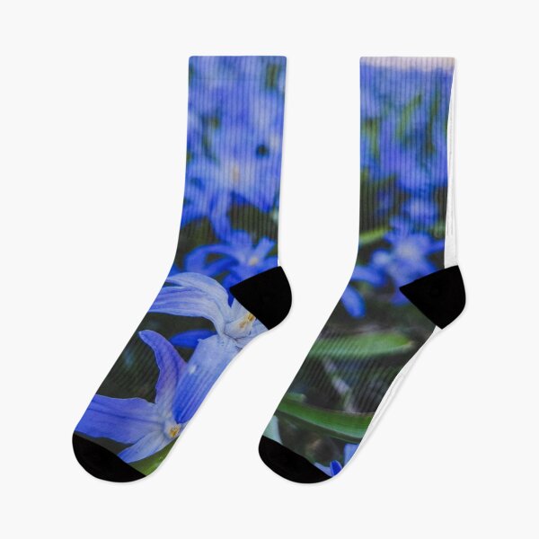 Item preview, Elegant Arctic Cat cCharcoal Recess designed and sold by vccsgsge.