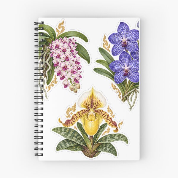 Item preview, Thai Orchid Sticker Pack – Chang Kra, Blue Vanda & Yellow Slipper Orchid designed and sold by BangkokFineArt.