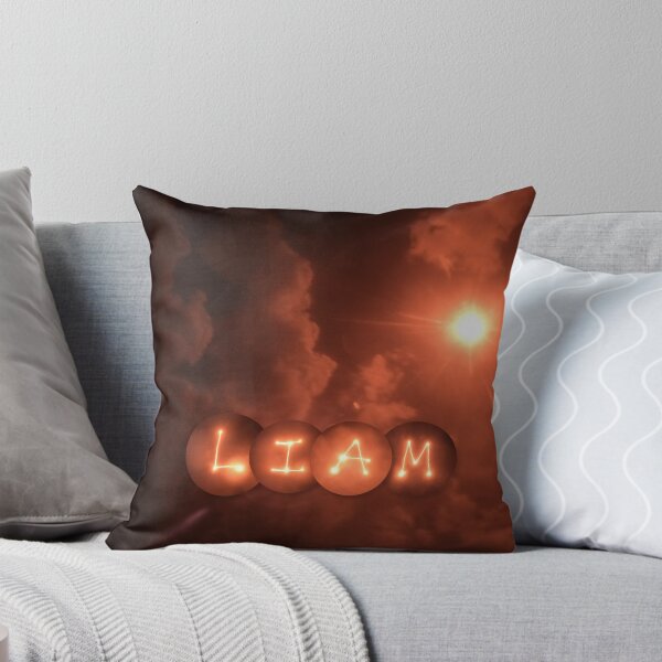 Aperçu de l'œuvre LIAM au soleil créée et vendue par Sunlight Creations.