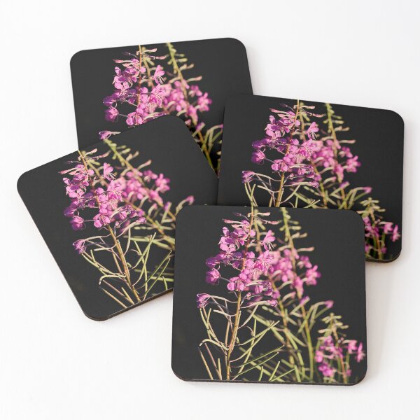 Item preview, When the light hits. Rosebay Willowherb designed and sold by Jouko Lehto Photography.