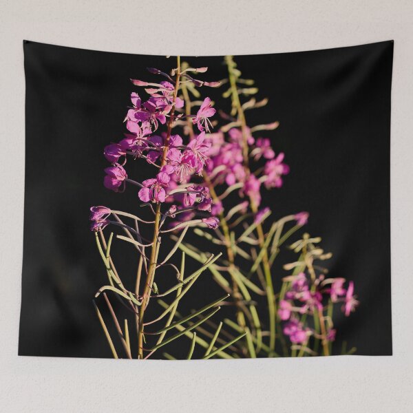 Item preview, When the light hits. Rosebay Willowherb designed and sold by Jouko Lehto Photography.