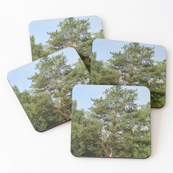 Item preview, Pine by the field  Parkkuu 2026 designed and sold by Jouko Lehto Photography.