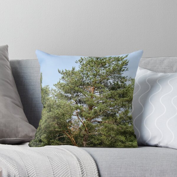 Item preview, Pine by the field  Parkkuu 2026 designed and sold by Jouko Lehto Photography.