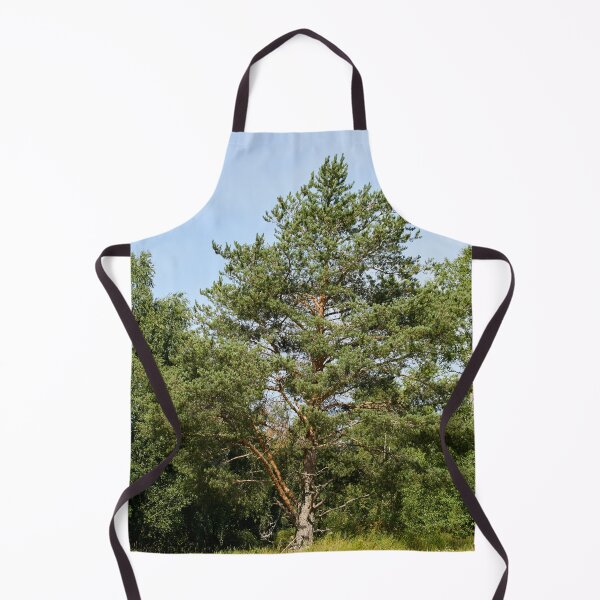 Item preview, Pino junto al campo Parkkuu 2026 designed and sold by Jouko Lehto Photography.
