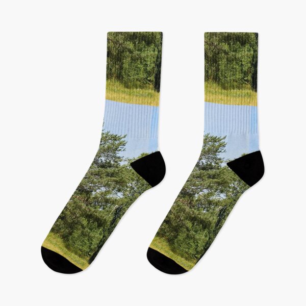 Item preview, Pino junto al campo Parkkuu 2026 designed and sold by Jouko Lehto Photography.