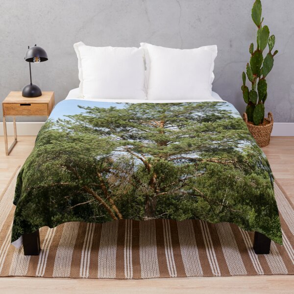 Item preview, Pine by the field Parkkuu 2026 designed and sold by Jouko Lehto Photography.