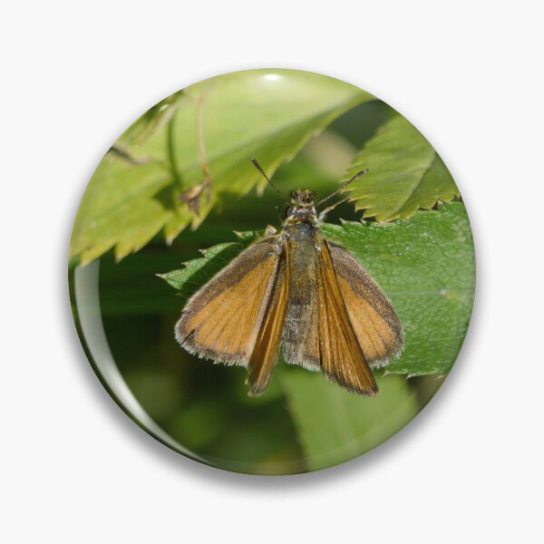 Item preview, Long way to Essex. Essex Skipper designed and sold by Jouko Lehto Photography.