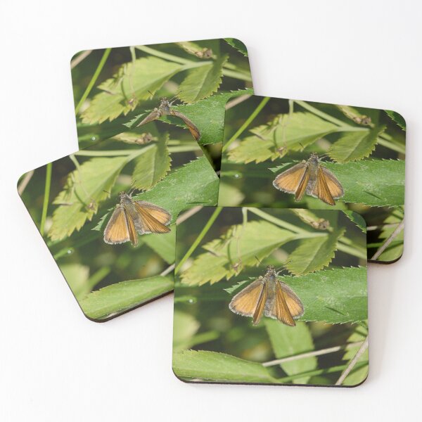 Item preview, Long way to Essex. Essex Skipper designed and sold by Jouko Lehto Photography.