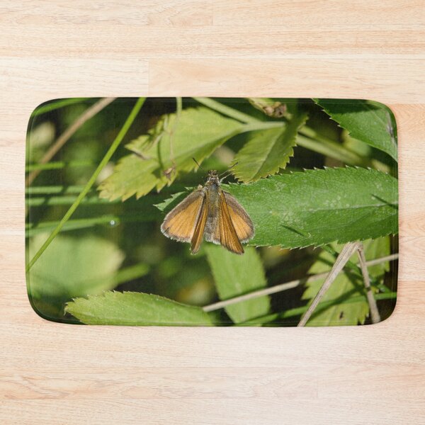 Item preview, Long way to Essex. Essex Skipper designed and sold by Jouko Lehto Photography.