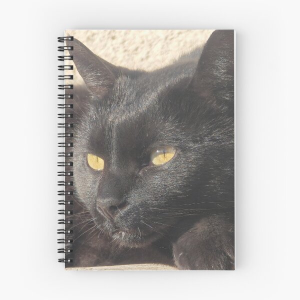 Item preview, Black Cat Golden Eyes – Mysterious Cat Portrait designed and sold by MB-CatPrints.