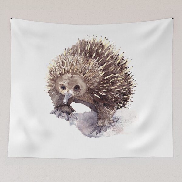 Item preview, Australian Echidna Watercolour designed and sold by buyssemoeschk.