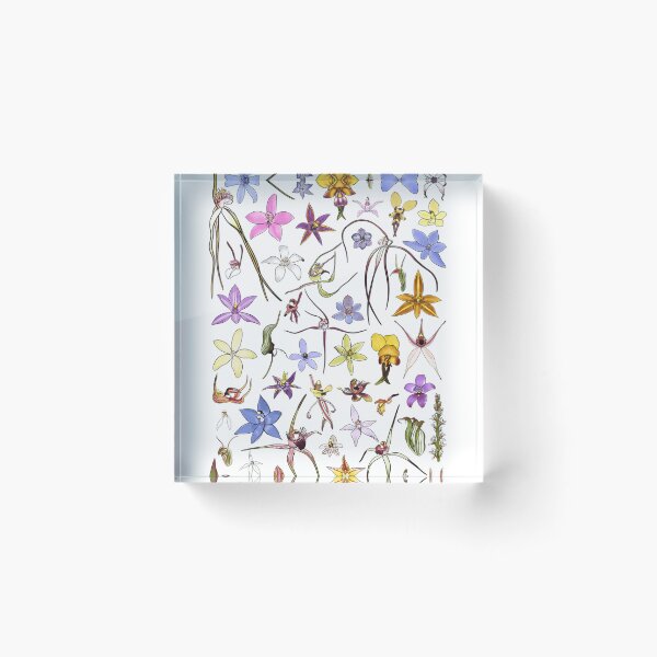 Item preview, Australian Orchids designed and sold by buyssemoeschk.