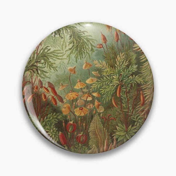 Artikelvorschau, Kunstformen der Natur (Muscinae von Haeckner, 1904) entworfen und verkauft von A Little Bit Ludo.