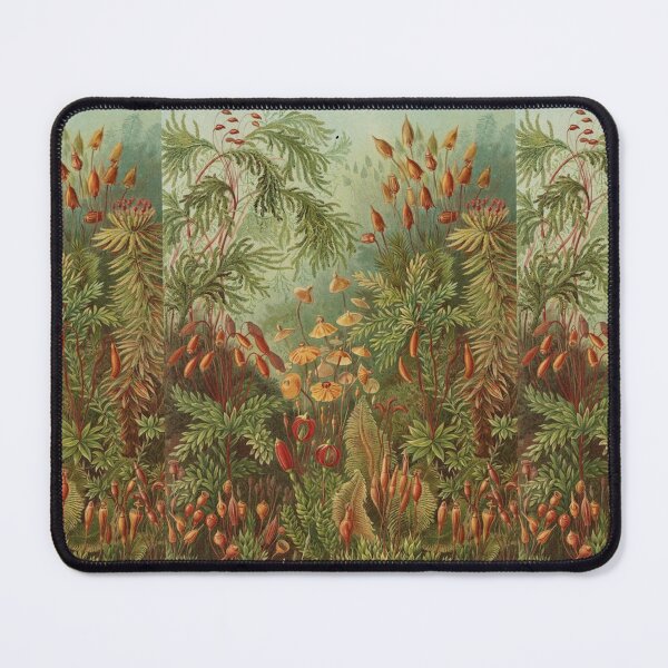 Item preview, Art Forms of Nature (Muscinae by Haeckner, 1904) designed and sold by A Little Bit Ludo.